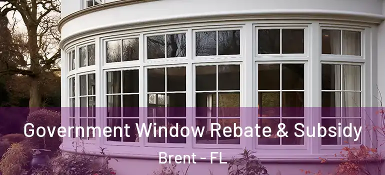  Government Window Rebate & Subsidy Brent - FL