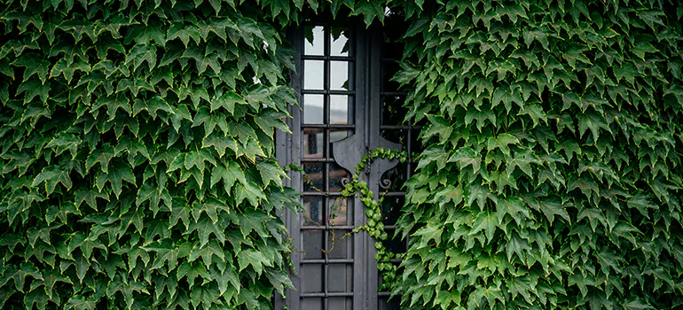 Garden Gate Repair in Brent, FL
