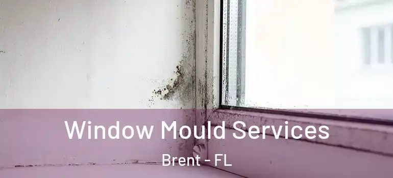 Window Mould Services Brent - FL